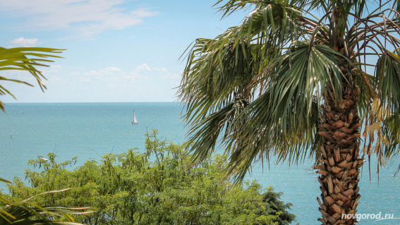 © Фото из архива интернет-портала «Новгород.ру»