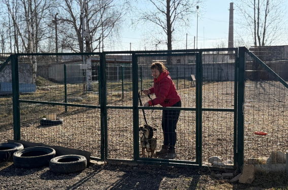 © Комитет городского и дорожного хозяйства администрации Великого Новгорода