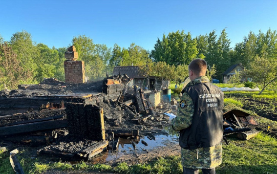 © СУ СКР по Новгородской области