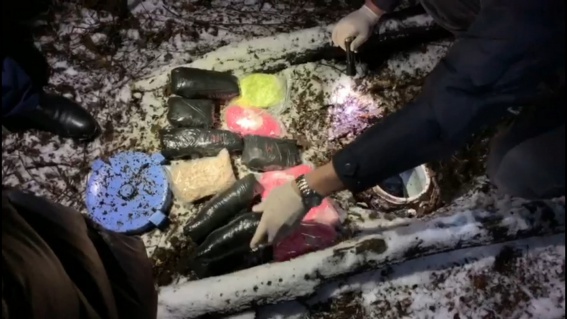 Новгородские полицейские нашли в лесу тайник с килограммами наркотиков
