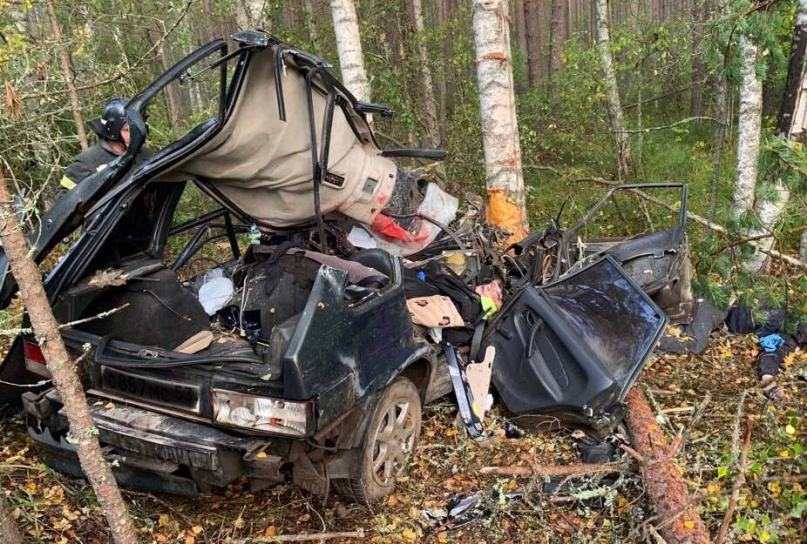 © УГИБДД УМВД России по Новгородской области