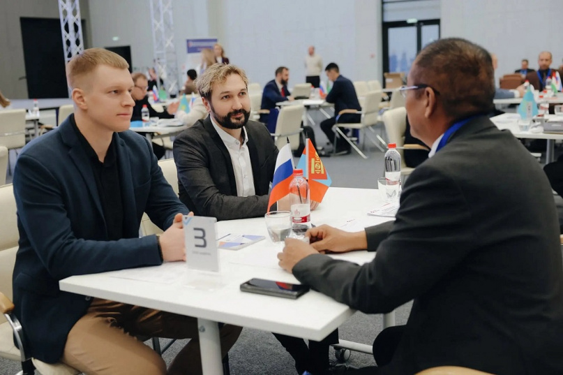 © Министерство инвестиционной политики Новгородской области