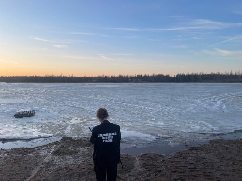 © СУ СКР по Новгородской области