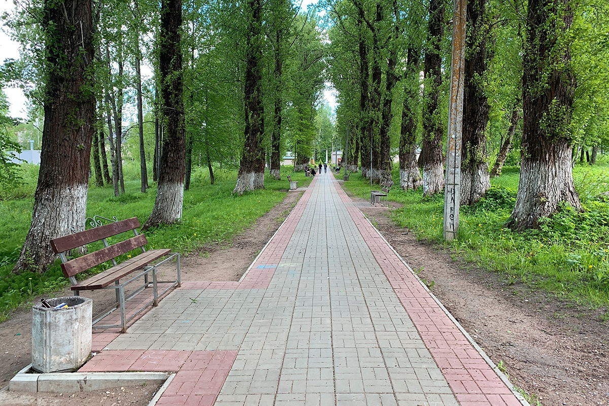 Сайт парки великого. Парк Окуловка. Парк ОЦБК Окуловка. Парк Великий Новгород. Городской парк.