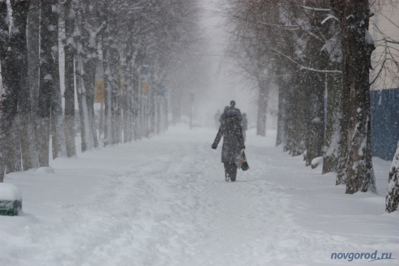 © Фото из архива интернет-портала «Новгород.ру»