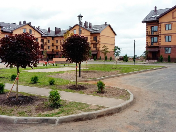 © Новости.Новгород.ру. 