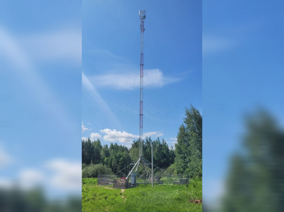 Деревня Частова теперь на связи и онлайн: «Ростелеком» обеспечил мобильным интернетом еще один населенный пункт Новгородской области