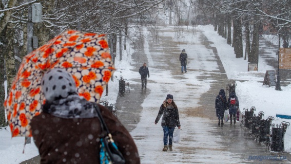 В Новгородской области ожидается дождь со снегом и порывистым ветром