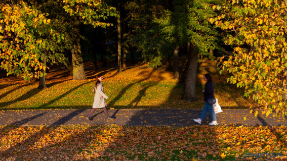 © Фото из архива интернет-портала «Новгород.ру»