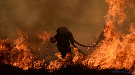 На выходных в Новгородской области ожидается высокая пожароопасность