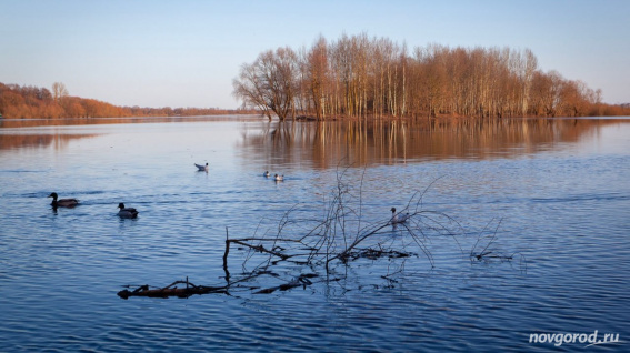 © фото Ксении Лысенко 