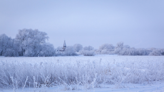 В среду жителей Новгородской области снова ожидают небольшие снегопады