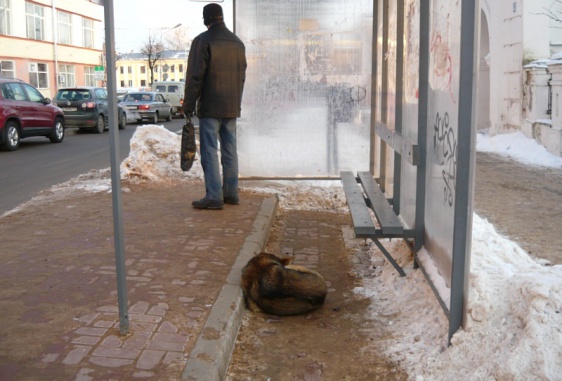 © Новости.Новгород.ру. 