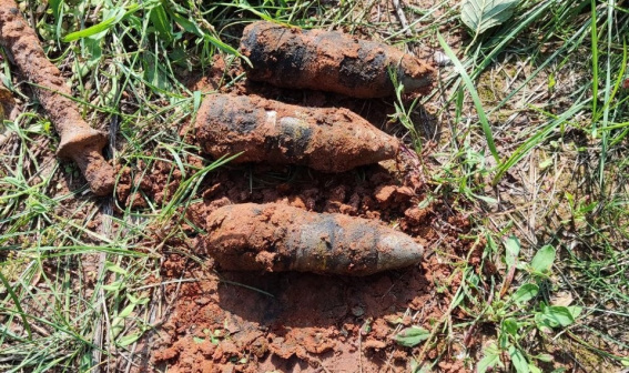 За прошлый месяц в Новгородской области нашли 95 боеприпасов времен Великой Отечественной войны