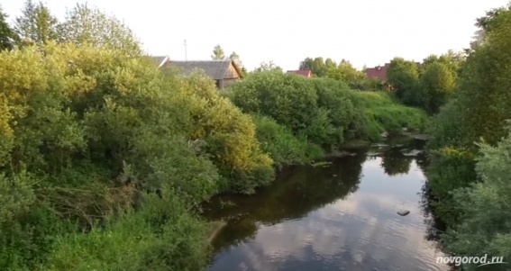 История с загрязнением реки Холова в Крестецком районе получила продолжение