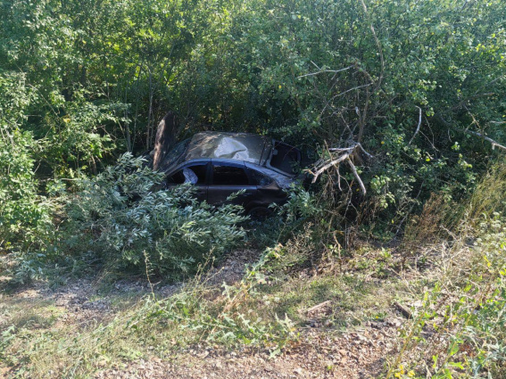 © УГИБДД России по Новгородской области