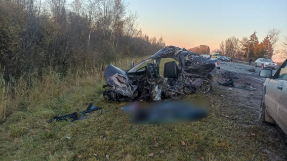 ДТП с тремя погибшими в Шимском округе произошло из-за неудачной попытки обгона