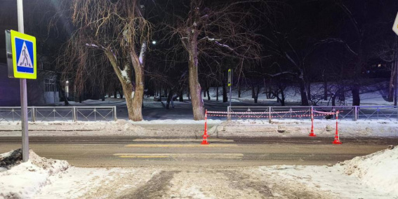 © УГИБДД России по Новгородской области