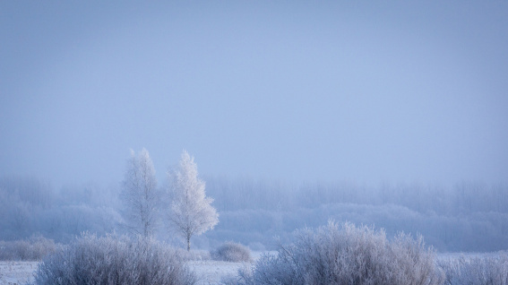 В Новгородской области ожидаются морозы до -35 градусов