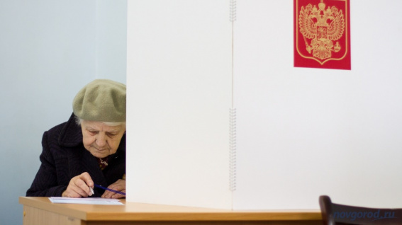Явка на выборах президента РФ составила 36,65% по итогам первого дня голосования в Новгородской области
