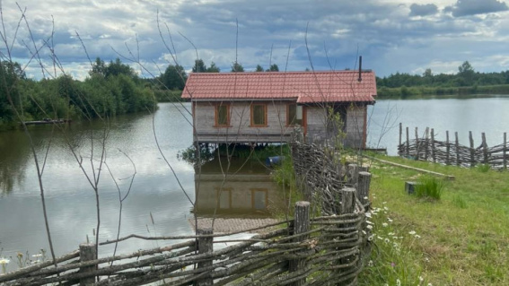 В Новгородской области появилась лосиная ферма