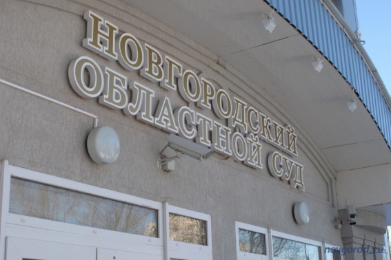 Районный суд пересмотрит ещё два дела в отношении новгородцев, вышедших на пикеты в день приезда президента