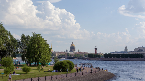 В Петербурге запретили движение на электросамокатах во время крупных мероприятий