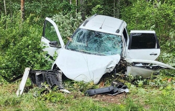 В Чудовском районе автомобиль улетел в кювет и врезался в дерево