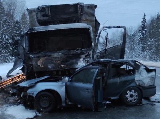 На дорогах Новгородской области за выходные погибли четыре человека и один лось
