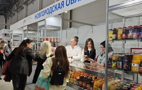 © Министерство инвестиционной политики Новгородской области