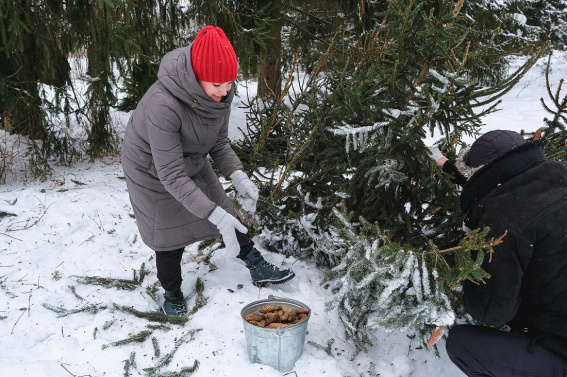 © Пресс-центр правительства Новгородской области