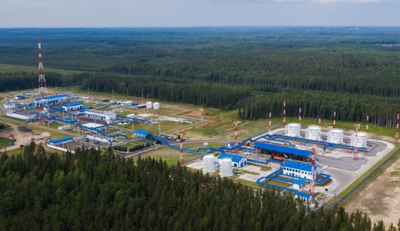 «Транснефть — Балтика» посадила 200 тысяч сеянцев деревьев в Новгородской области