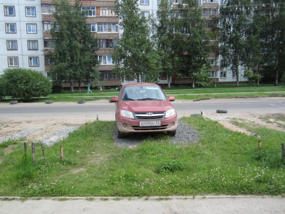 © Новости.Новгород.ру. 