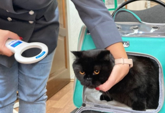 © Пресс-служба Северо-Западного межрегионального управления Россельхознадзора