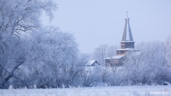 Небольшой снегопад ожидается в Новгородской области в ближайшие дни