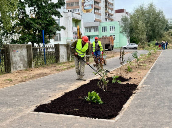 В сквере «Минутка» в Великом Новгороде уложили асфальт
