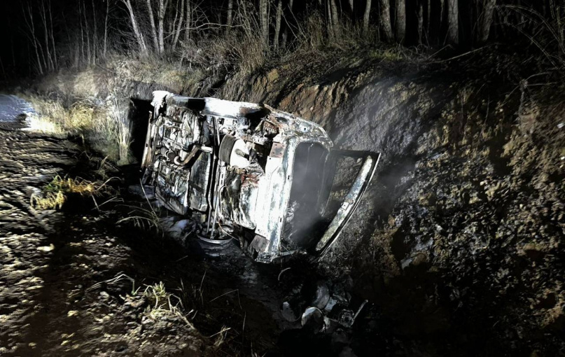 © УГИБДД России по Новгородской области