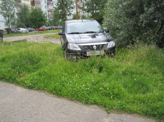 © Новости.Новгород.ру. 