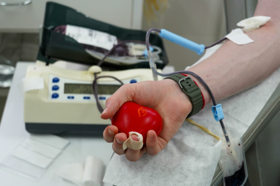 © минздрав Новгородской области 