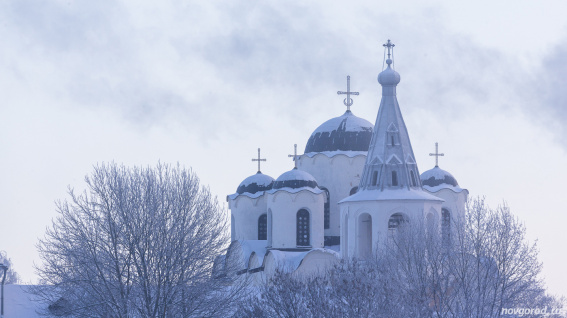 Синоптики прогнозируют морозы до -20°C в Новгородской области