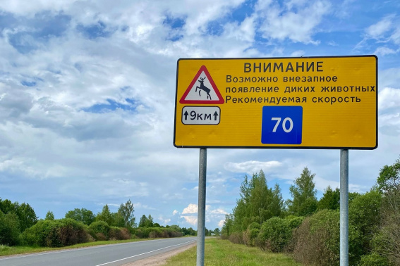 © Министерство транспорта Новгородской области