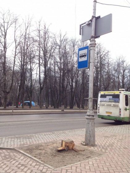 © Новости.Новгород.ру. 