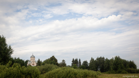 Теплая летняя погода ждет новгородцев в ближайшие дни