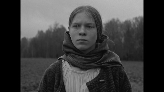 © Новости.Новгород.ру.