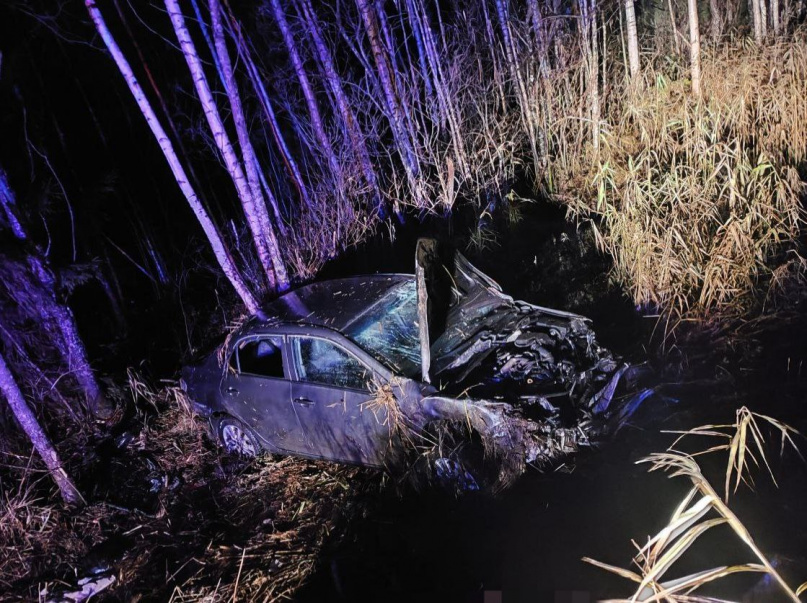 © УГИБДД России по Новгородской области