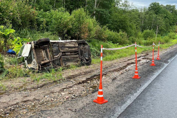 © УГИБДД России по Новгородской области