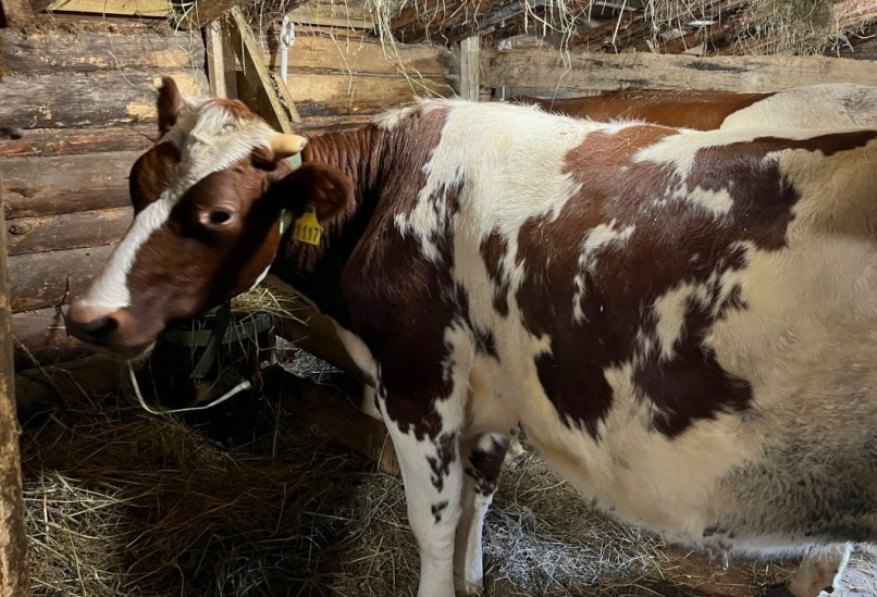 © Министерство сельского хозяйства Новгородской области