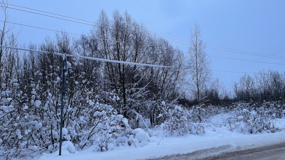 Без электроснабжения в Новгородской области всё ещё остаются почти 12 тысяч человек