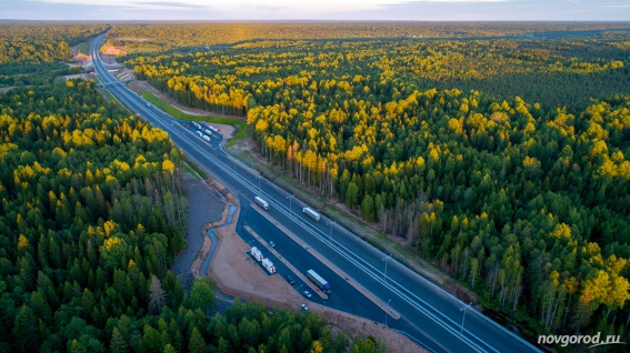 За год литр бензина в Новгородской области подорожал на 3 рубля 60 копеек