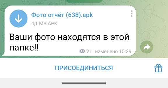 © Новости.Новгород.ру.